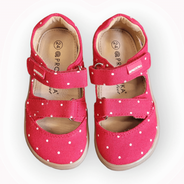 Barefoot sandaalid lastele Protetika Tafi Red