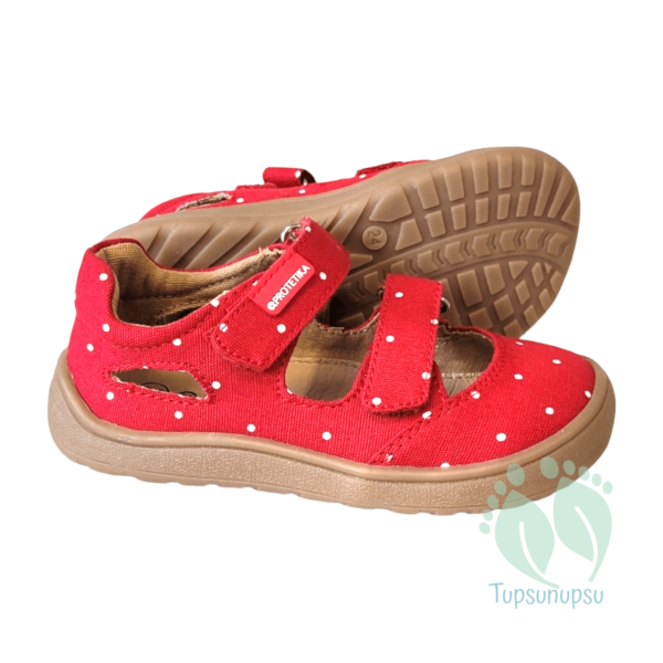 Barefoot sandaalid lastele Protetika Tafi Red